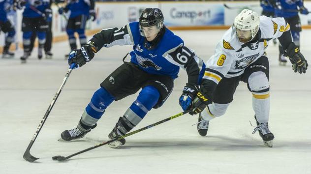 Saint John Sea Dogs forward Cam MacDonald