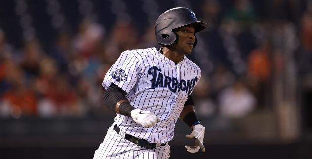 Aldenis Sanchez of the Tampa Tarpons