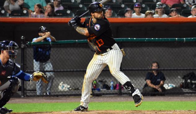 L.J. Mazzilli of the Long Island Ducks