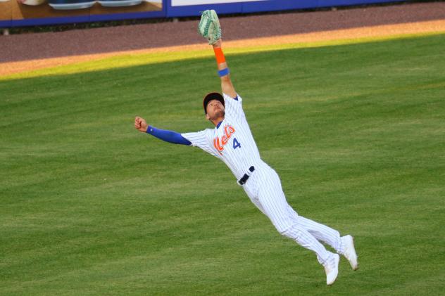 Albert Almora Jr. makes a diving catch in the top of the third inning on Wednesday night for the Syracuse Mets