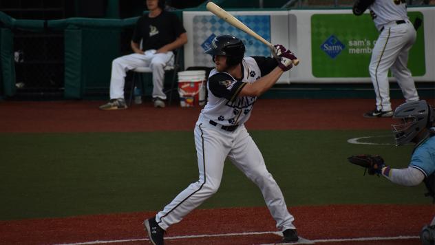 Ian Walters of the Southern Illinois Miners at bat