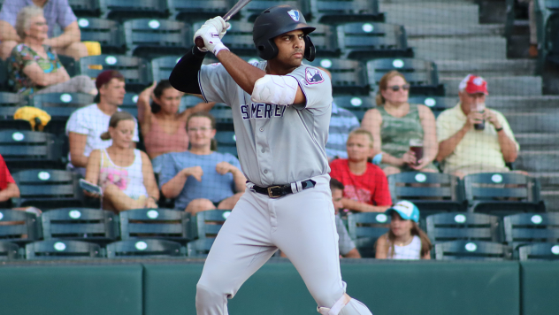 Dermis Garcia at bat for the Somerset Patriots