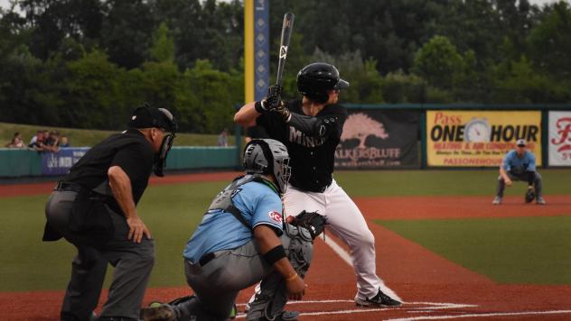 Jared Mang at bat for the Southern Illinois Miners