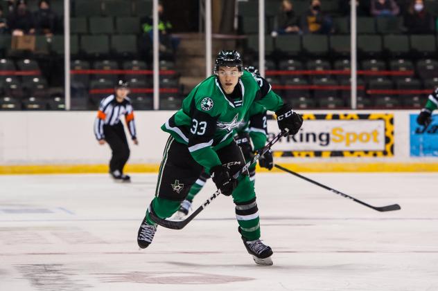 Texas Stars defenseman Joseph Cecconi