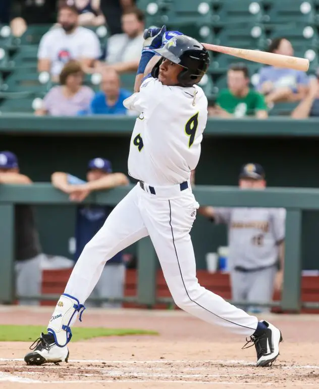 Burle Dixon takes a swing for the Columbia Fireflies