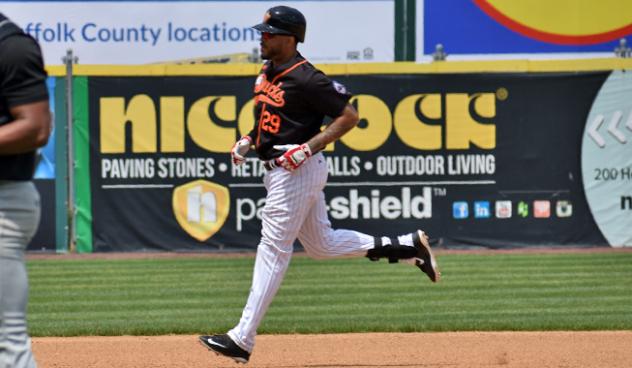 Long Island Ducks outfielder Daniel Fields