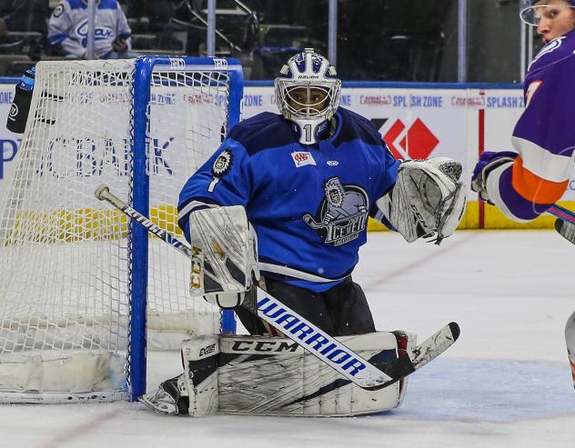 Jacksonville Icemen goaltender Charles Williams