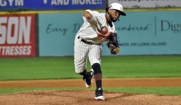 Long Island Ducks pitcher Anderson DeLeon delivers