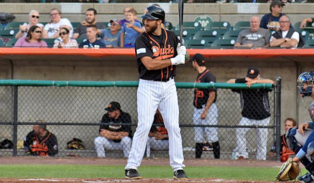 Steve Lombardozzi of the Long Island Ducks