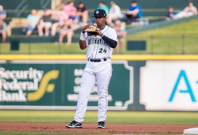 Felix Familia of the Columbia Fireflies
