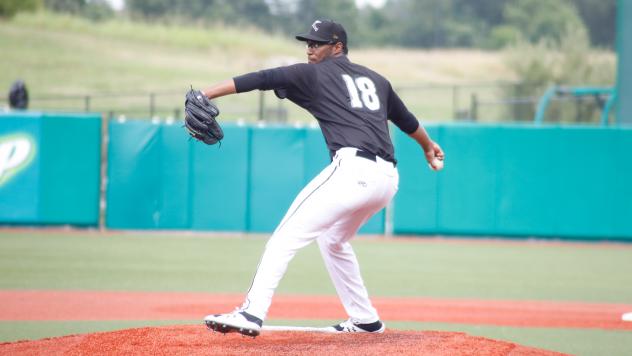 Southern Illinois Miners pitcher Michael Austin