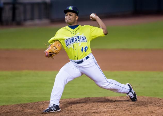Columbia Fireflies pitcher Luis De Avila
