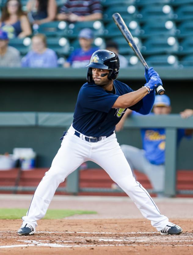 Jean Ramirez at bat for the Columbia Fireflies