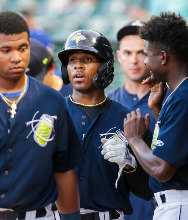 Juan Carlos Negret of the Columbia Fireflies
