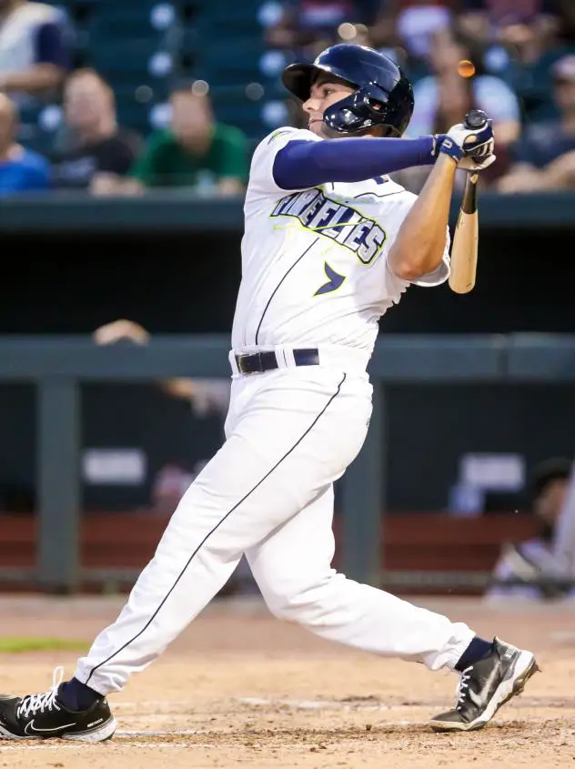 Matt Schmidt of the Columbia Fireflies