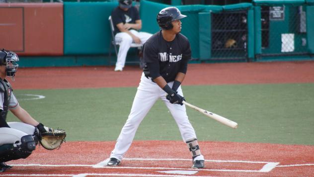 Ariel Sandoval at bat for the Southern Illinois Miners