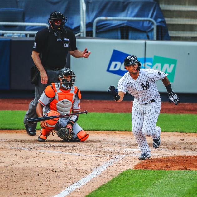 New York Yankees infielder Gleyber Torres