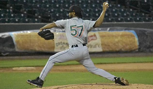 Long Island Ducks pitcher Anderson DeLeon