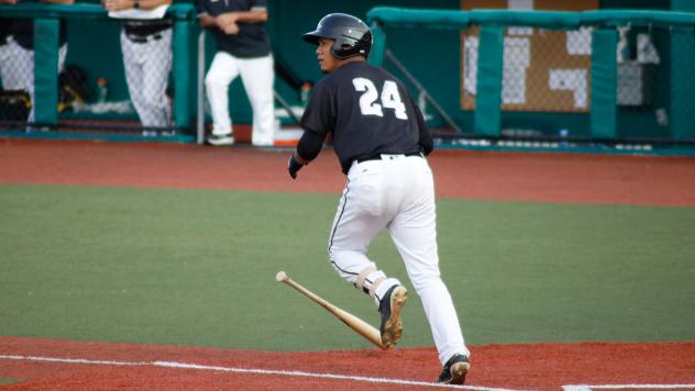 Ariel Sandoval of the Southern Illinois Miners