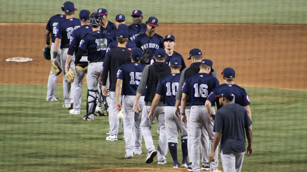 Somerset Patriots offer congratulations after a win