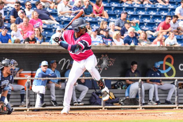 Demetrius Sims at bat for the Pensacola Blue Wahoos