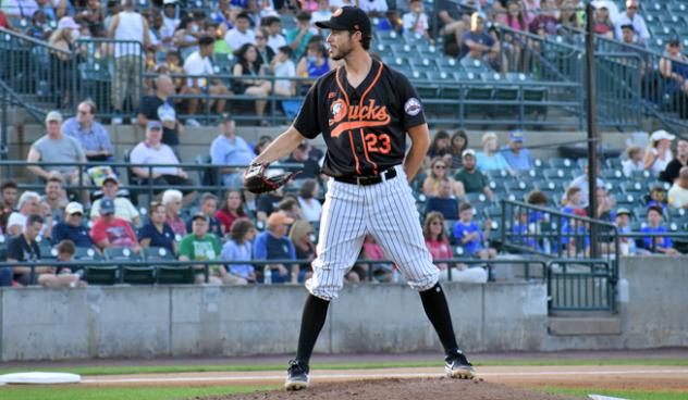 Long Island Ducks pitcher Darin Downs