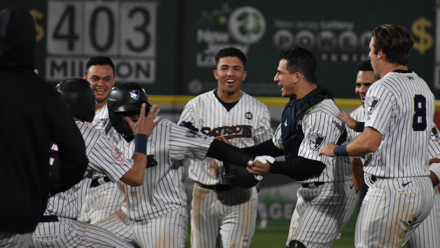 Somerset Patriots celebrate Michael Beltre's walk-off hit