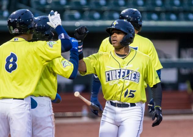 Juan Carlos Negret of the Columbia Fireflies