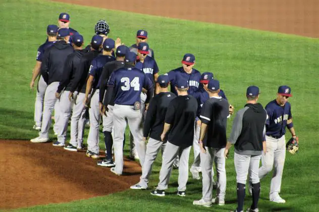 Somerset Patriots exchange congratulations after a win