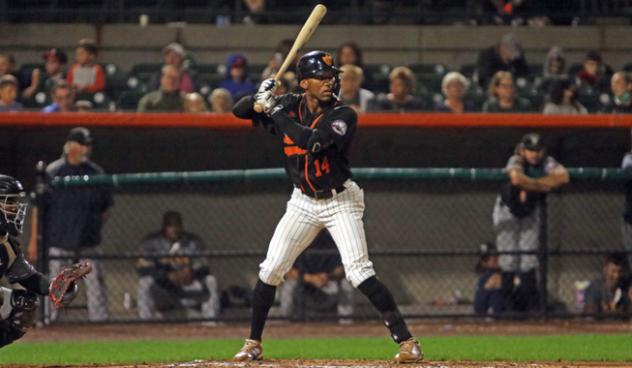 Johnni Turbo of the Long Island Ducks at bat