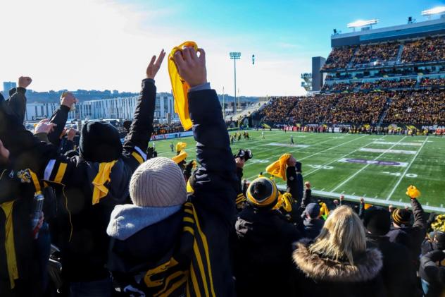 Hamilton Tiger-Cats fans enjoy a game at Tim Hortons Field