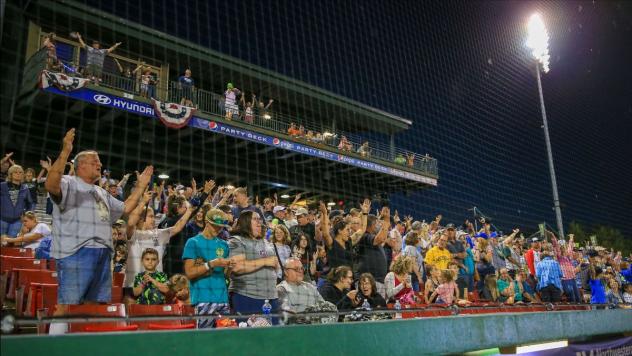 Kane County Cougars fans enjoy a game