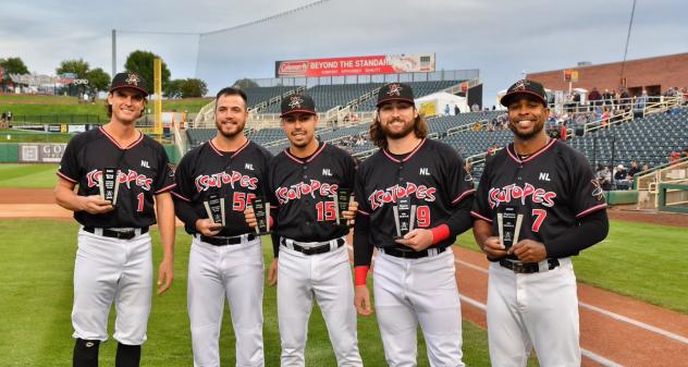 Albuquerque Isotopes award winners
