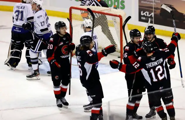 Prince George Cougars celebrate a goal vs. the Victoria Royals