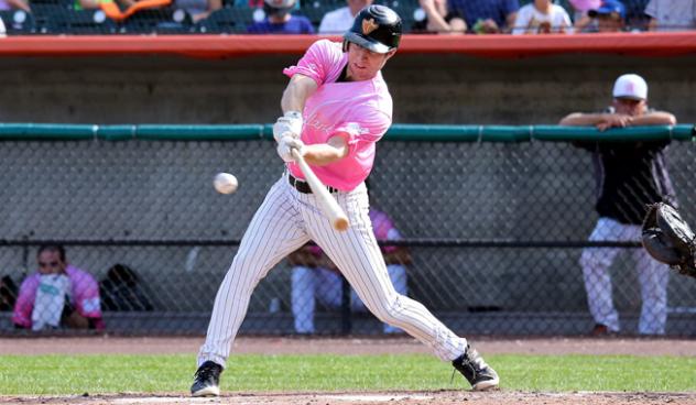 Ty Kelly of the Long Island Ducks at bat