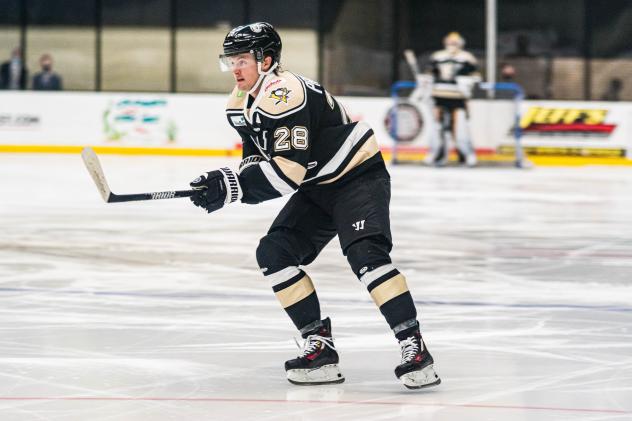 Forward Jacob Pritchard with the Wheeling Nailers