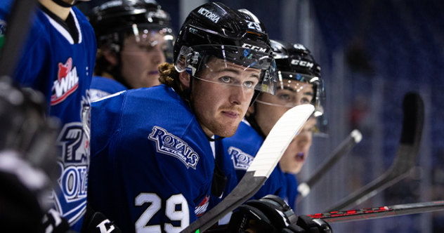 Victoria Royals left wing Bailey Peach