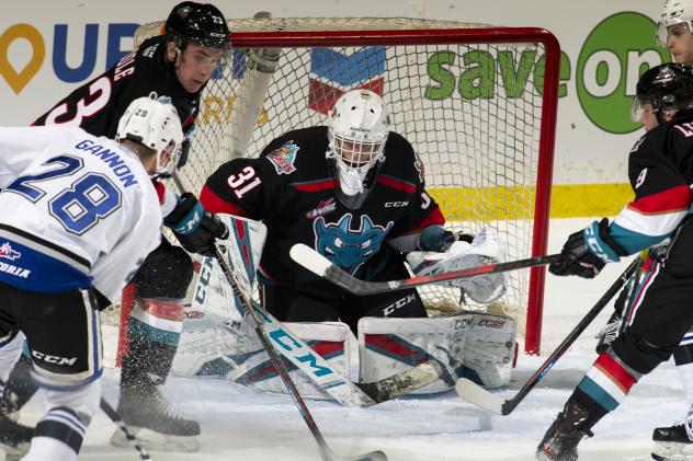 Kelowna Rockets goaltender Cole Tisdale