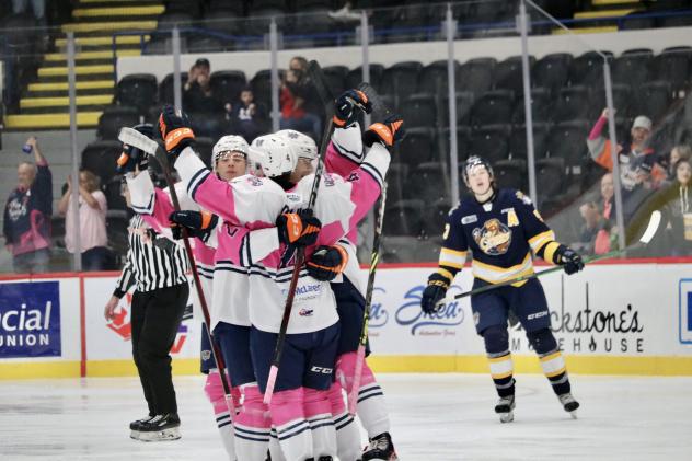 Flint Firebirds celebrate a goal against the Erie Otters