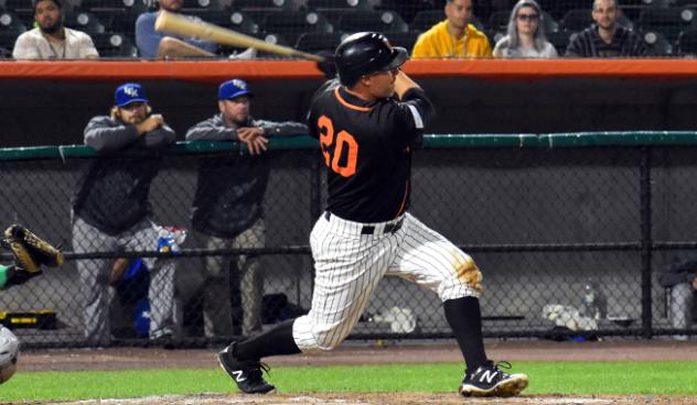 Lew Ford at bat for the Long Island Ducks