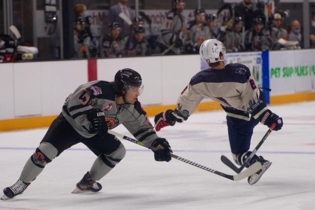 Macon Mayhem vs. the Knoxville Ice Bears