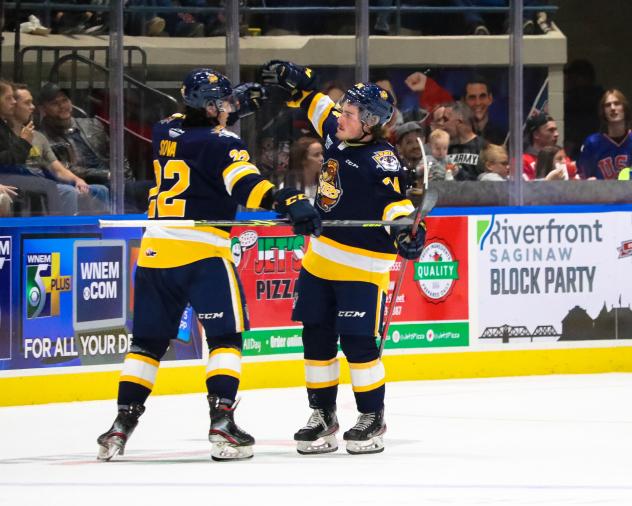 Erie Otters exchange fist bumps following a goal