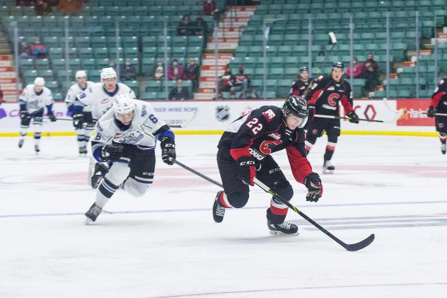 Prince George Cougars centre Justin Almeida vs. the Prince George Cougars