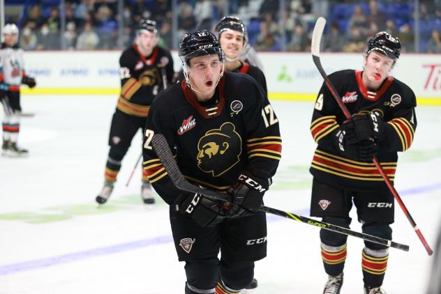 Vancouver Giants left wing Adam Hall