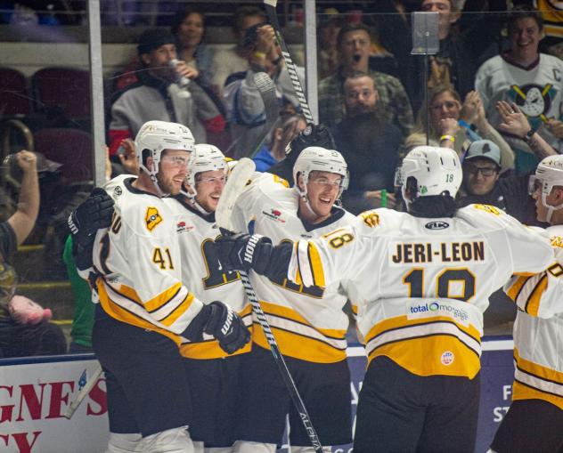 Maine Mariners celebrate a goal