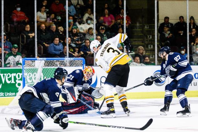 Maine Mariners battle the Worcester Railers