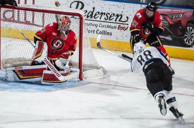 Goaltender Jon Gillies with the Stockton Heat