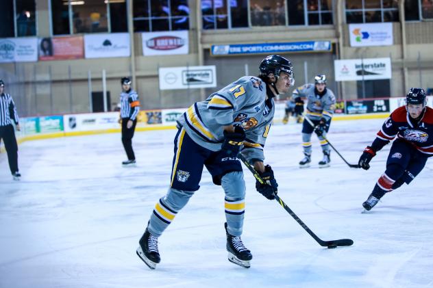 Erie Otters right wing Daniel D'Amato