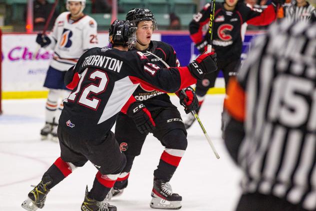 Prince George Cougars react after Riley Heidt's goal against the Kamloops Blazers