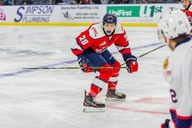 Defenceman Alex Cotton with the Lethbridge Hurricanes